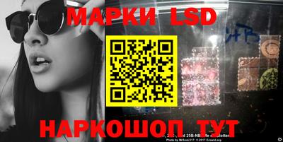 СК Новозыбков