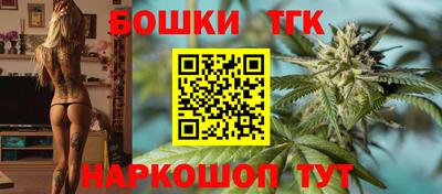 СК Новозыбков