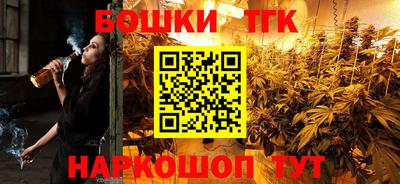 СК Новозыбков