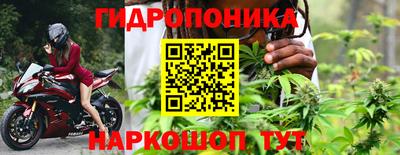 СК Новозыбков