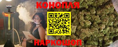 СК Новозыбков