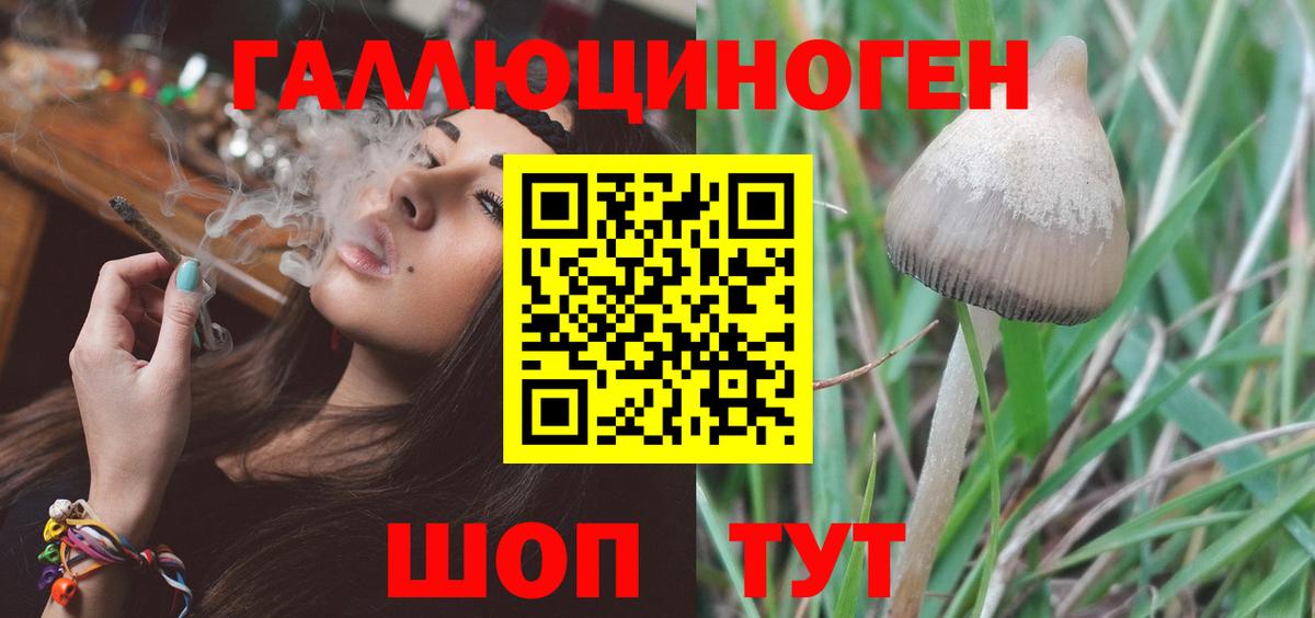 Галлюциногенные грибы Magic Shrooms Сургут