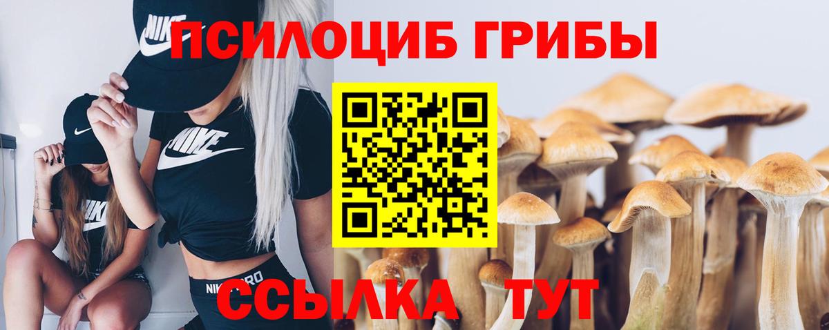 Сургут  Псилоцибиновые грибы ЛСД  Вход с VPN 